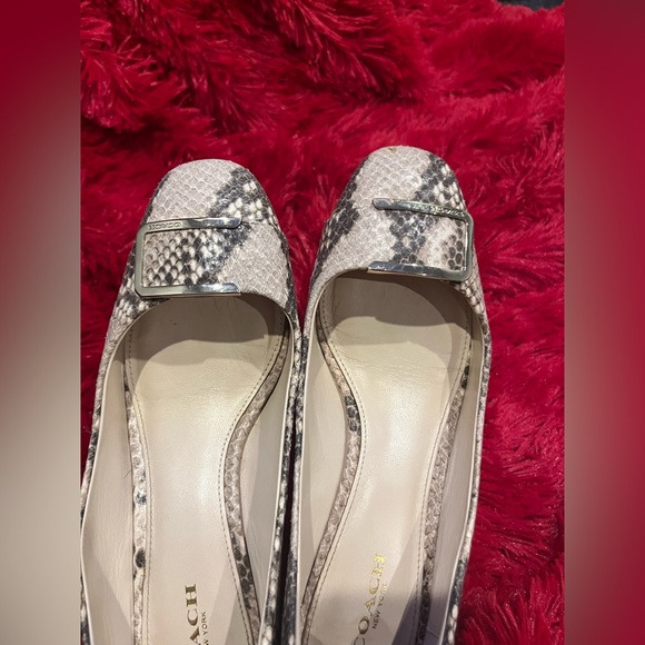 Women’s snake design shoes size 7 - Picture 1 of 9